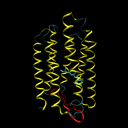 bacteriorhodopsine structuur